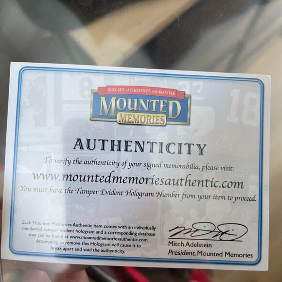 Nike - Toronto Raptors Vince Carter on-court pro cut vintage jersey (1999) COA - Picture 6 of 6